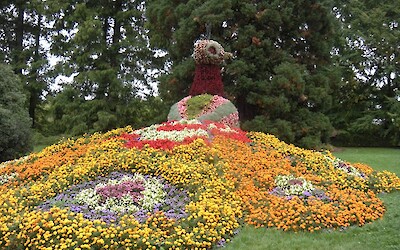 Peacock floral bed on Mainau Island . . . we were lucky enough to witness a wedding on the grounds of the Bernadotte family castle while there. (submitted by MarcieB)