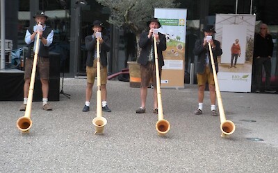 Appenzeller Horn players greeted us as we left Bregenz, Austria. There was a "Bio-fest" in progress that featured all kinds of "green" products. (submitted by MarcieB)