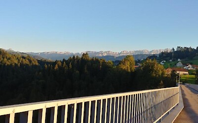 Photo 2 (submitted by Waterdog)