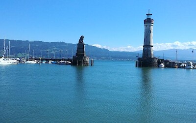 Photo 4 (submitted by Waterdog)