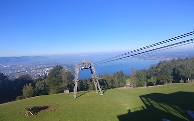 Photo 6 (submitted by Waterdog)