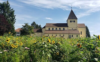 Photo 1 (submitted by Tom on a Bike)