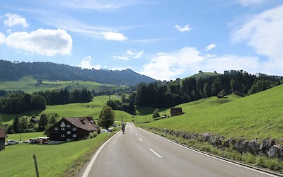 (submitted by Julane Anderson)