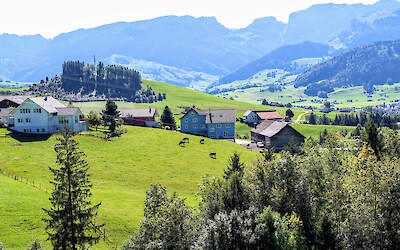 (submitted by Julane Anderson)