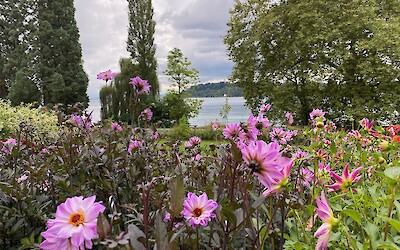 Even n September the gardens on the Island of Mainau are magnificent (submitted by Ann Abeles)