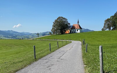 The Swiss countryside is neat and green (submitted by Ann Abeles)