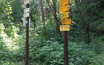 Signs for the Czech Republic's extensive bike path network (submitted by Chloek1234)