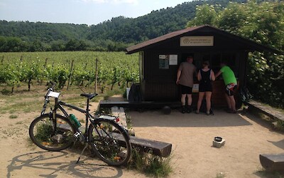 Cycle path-side adult beverages (submitted by Chloek1234)