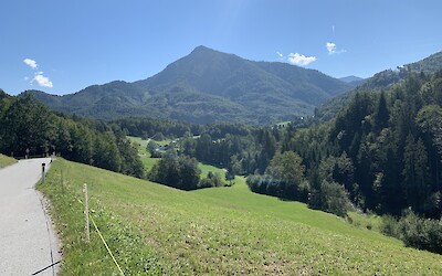 (submitted by Steve and Marty)