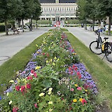 Purpose Bad Ischl (photo by Susan Roberts)