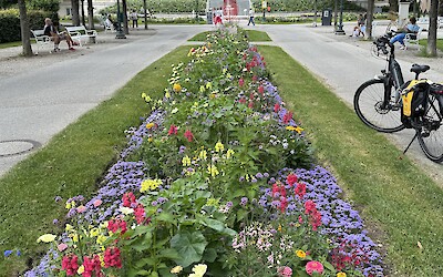 Purpose Bad Ischl (submitted by Susan Roberts)