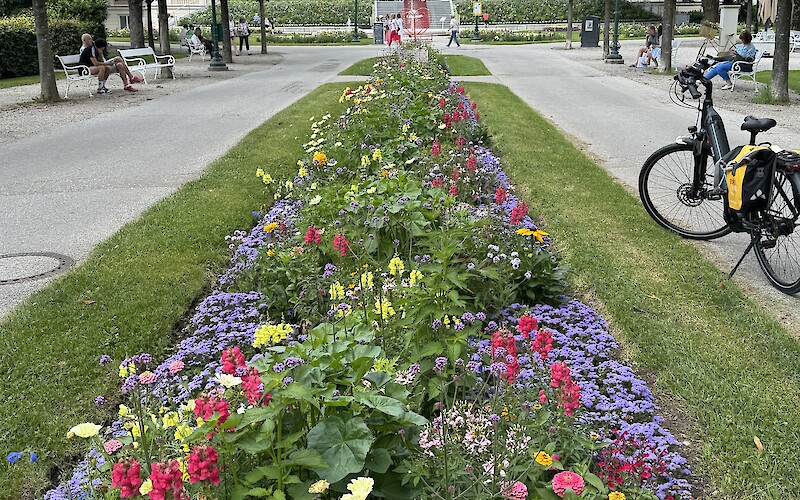 Purpose Bad Ischl (submitted by Susan Roberts)