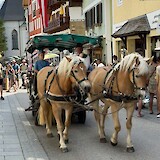 St Wolfgang on Wolfgangsee (photo by Susan Roberts)