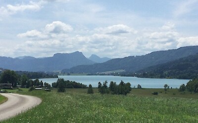 (submitted by ShopTherapy)