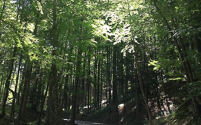 (submitted by ShopTherapy)