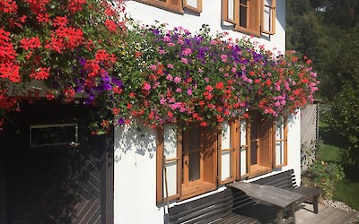 An Austrian home along the way. (submitted by Anne52)