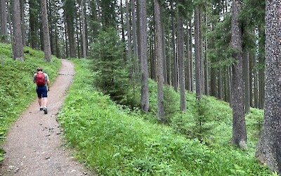 (submitted by Adam Pernsteiner)