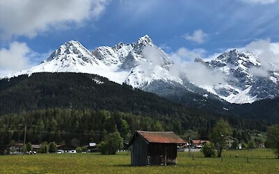 Photo 1 (submitted by Fletch)