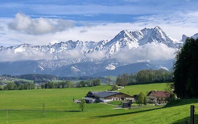 Photo 2 (submitted by Fletch)