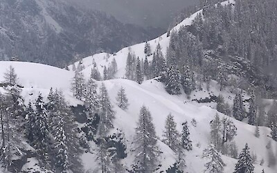 Photo 5 (submitted by Fletch)