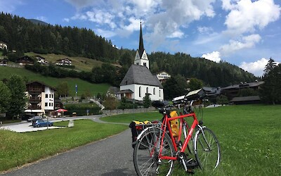 Typical day on the trail with green everywhere (submitted by Rich and Alesa)