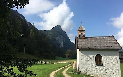 Photo 4 (submitted by Rich and Alesa)