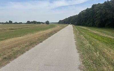 (submitted by John Zentner)