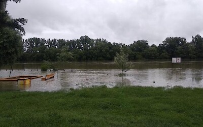 Photo 1 (submitted by Emmanuel)