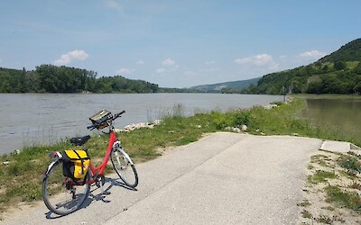 Photo 2 (submitted by Emmanuel)