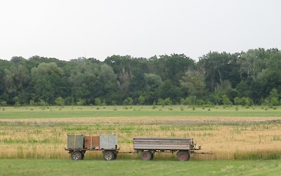 Photo 1 (submitted by Silas)