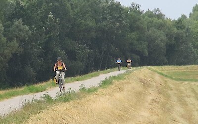 Photo 2 (submitted by Silas)