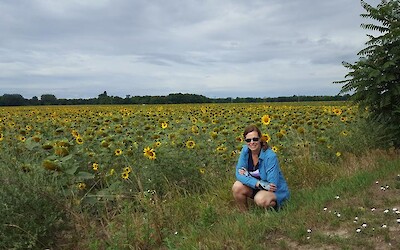 Photo 3 (submitted by JG2017)