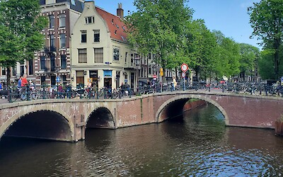 (submitted by Patricia Rose)