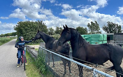 (submitted by Mary Juno)