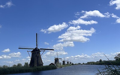 (submitted by Mary Juno)