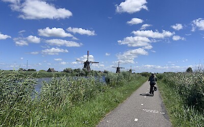 (submitted by Mary Juno)