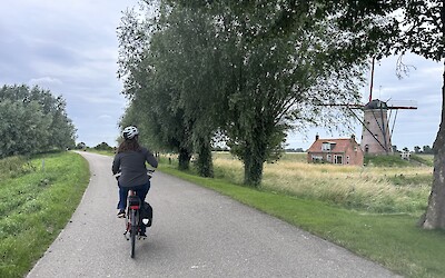 (submitted by Mary Juno)