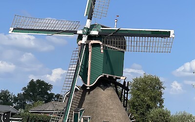 (submitted by Flavia)