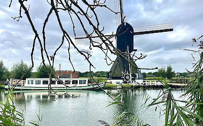 (submitted by Chris M.)