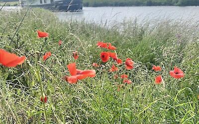 Watching our barge as we cruised past on our bikes (submitted by Cheryl King)