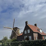 Kinderjilk (photo by Judy Shor)