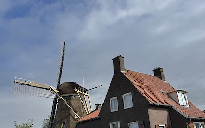 Kinderjilk (submitted by Judy Shor)