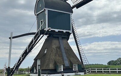 (submitted by Janna Poll)