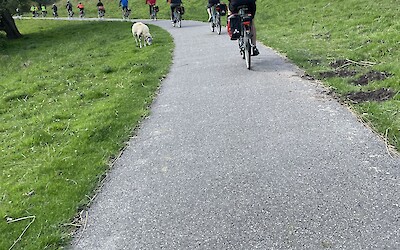 (submitted by Brian Hallgarth)