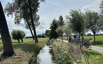 (submitted by Tania)