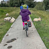 Friends along the way near Amsterdam (photo by Gib E)