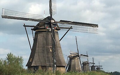 Photo 1 (submitted by Barbarella529)