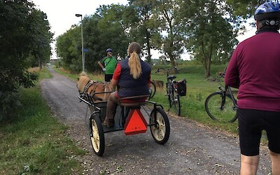 Photo 2 (submitted by Barbarella529)