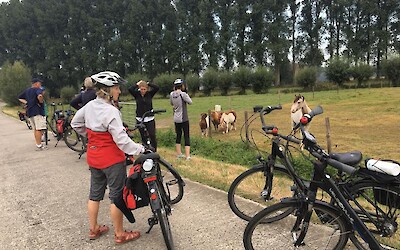 Photo 3 (submitted by Barbarella529)