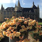 Holland may be famous for its tulips, but early fall is also in full bloom with hydrangeas everywhere and beauties like these in a castle garden.